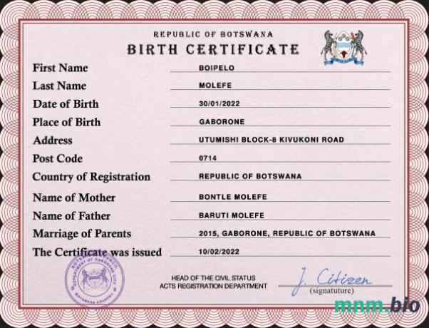 Botswana rekord życiowy narodziny certyfikat PSD szablon